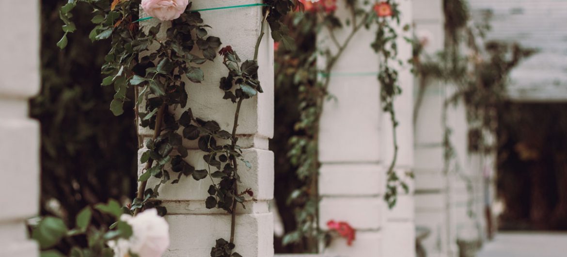 what are the four pillars of a relationship