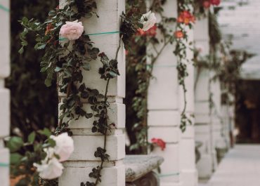 what are the four pillars of a relationship