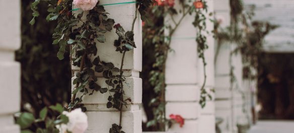 what are the four pillars of a relationship